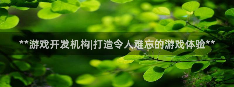 沐鸣娱乐2注册官网