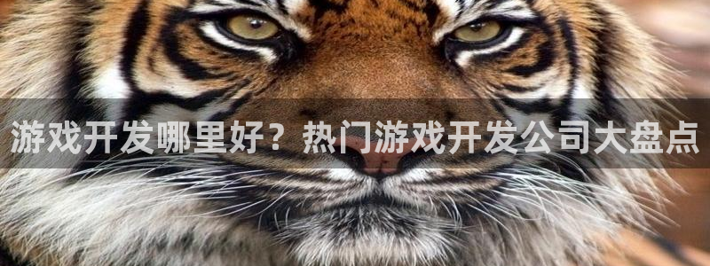 沐鸣2客户端 登录