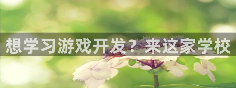 沐鸣2平台代理