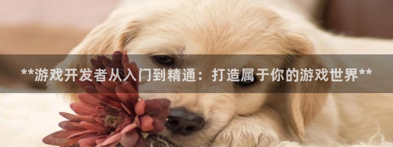 沐鸣娱乐2手机版