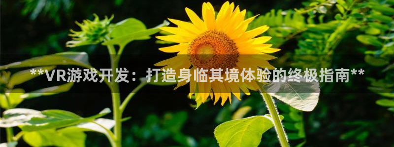 沐鸣2官方