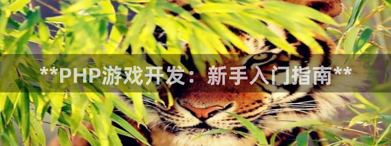沐鸣娱乐2官方平台