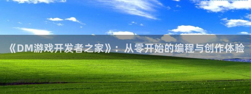 沐鸣2代理注册：《DM游戏开发者之家》：从零开始的编程与创作体验