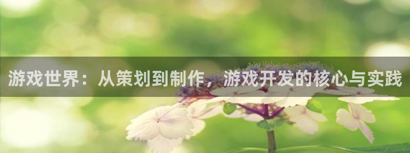 沐鸣娱乐2注册地址：游戏世界：从策划到制作，游戏开发的核心与实践