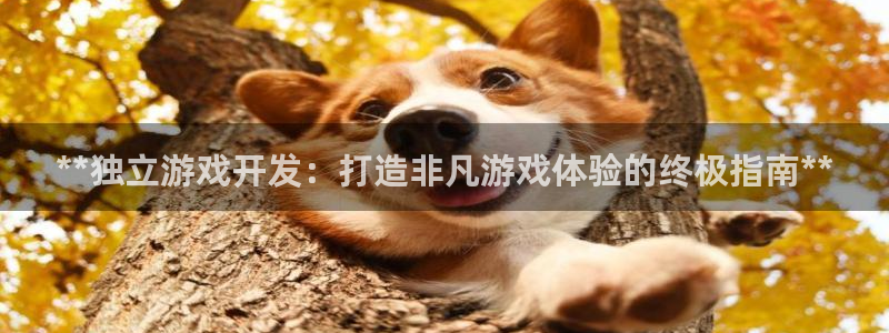 沐鸣2注册登入