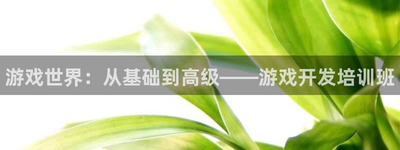 沐鸣2注册流程：游戏世界：从基础到高级——游戏开发培训班