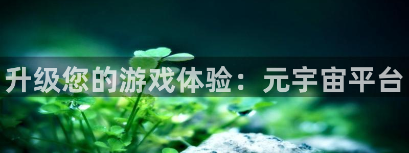 沐鸣2注册平台：升级您的游戏体验：元宇宙平台