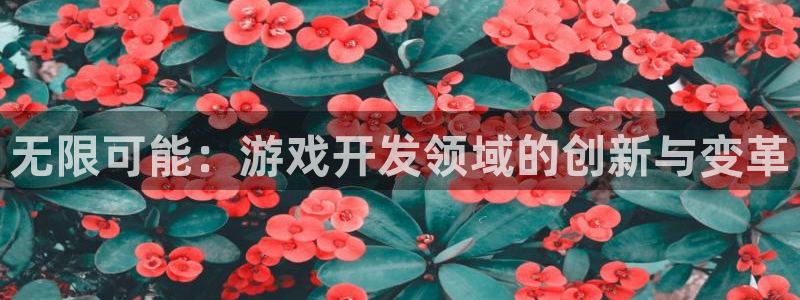 沐鸣娱乐2测速登陆：无限可能：游戏开发领域的创新与变革
