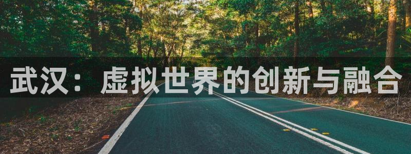 沐鸣2平台注册流程：武汉：虚拟世界的创新与融合