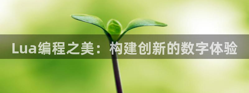 沐鸣娱乐2登录平台官网网址：Lua编程之美：构建创新的数字体验