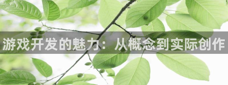 沐鸣娱乐2登录地址：游戏开发的魅力：从概念到实际创作
