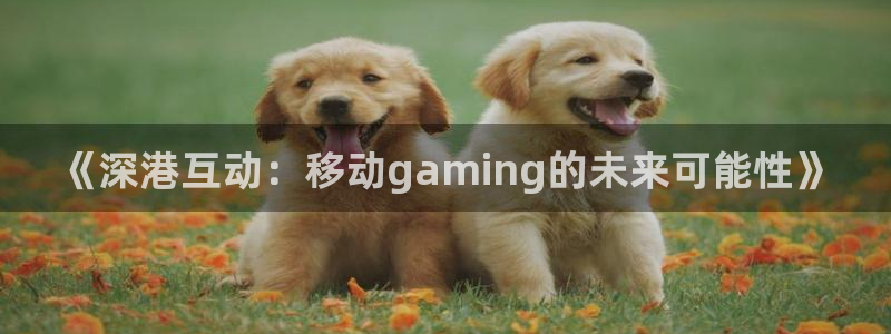 沐鸣娱乐2上来77542