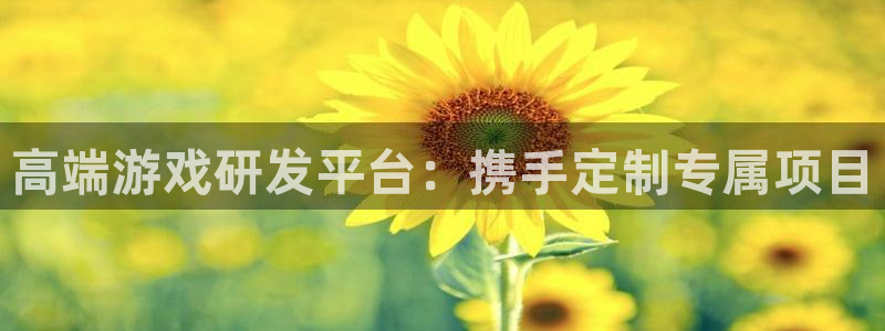 沐鸣2平台代理：高端游戏研发平台：携手定制专属项目