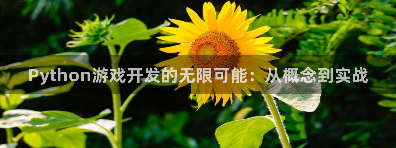 沐鸣2娱乐平台注册：Python游戏开发的无限可能：从概念到实战