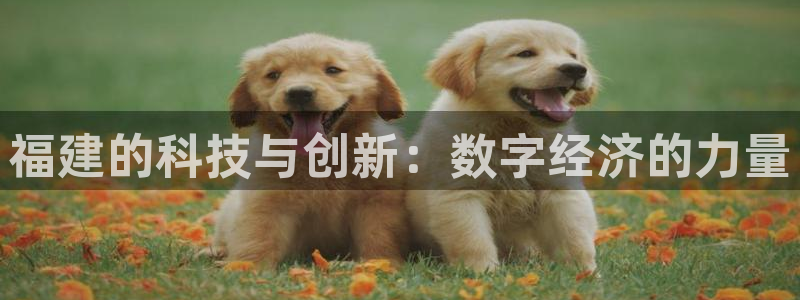 沐鸣2平台官方注册登录：福建的科技与创新：数字经济的力量