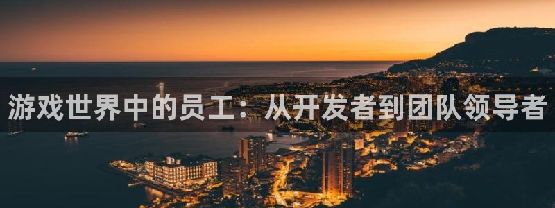 沐鸣2代理酋27337：游戏世界中的员工：从开发者到团队领导者