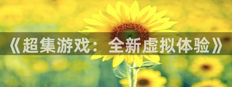 沐鸣娱乐2官方网站注册链接：《超集游戏：全新虚拟体验》