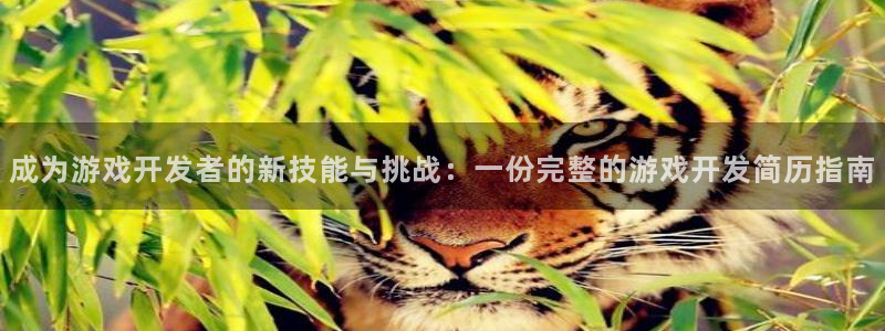沐鸣娱乐2注册账号：成为游戏开发者的新技能与挑战：一份完整的游戏开发简历指南