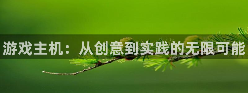 沐鸣娱乐2电脑版