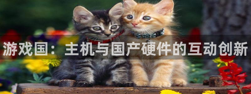 沐鸣娱乐2登录平台：游戏国：主机与国产硬件的互动创新