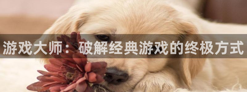 沐鸣娱乐2l怎么样
