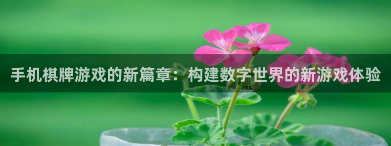 沐鸣娱乐2官方网站注册链接：手机棋牌游戏的新篇章：构建数字世界的新游戏体验