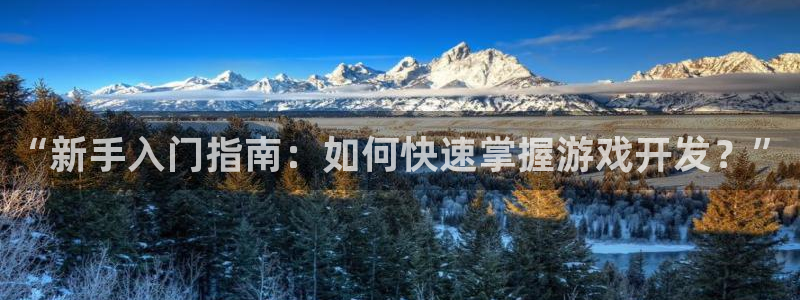 沐鸣娱乐2官网网址是什么：“新手入门指南：如何快速掌握游戏开发？”